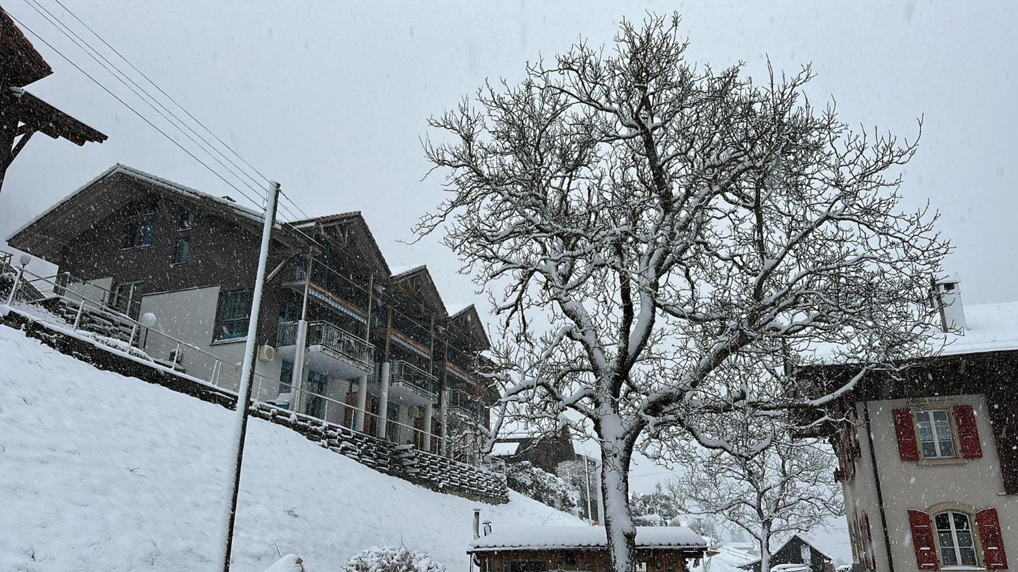 Lake Facing Studio Niederried bei Interlaken Exterior foto