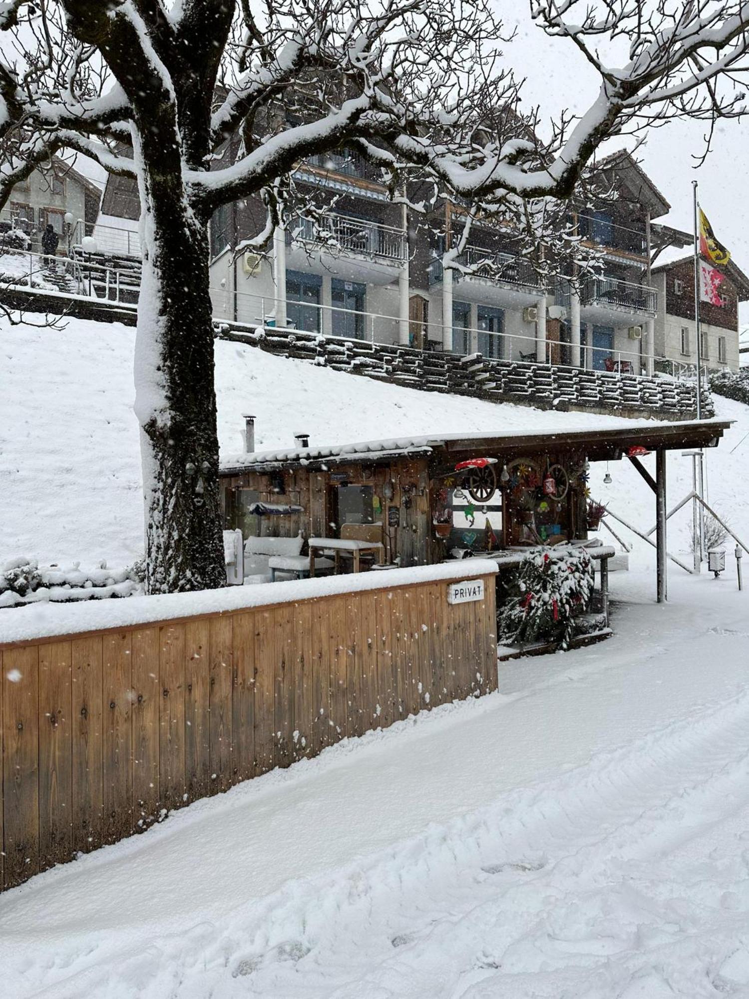 Lake Facing Studio Niederried bei Interlaken Exterior foto